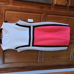 Calvin Klein Color Block Dress, NWT